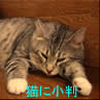 �L�ɏ���